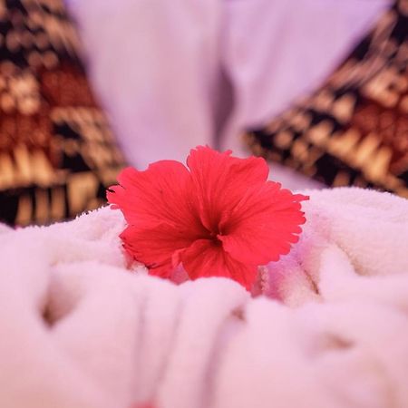 Nungwi Heritage Resort المظهر الخارجي الصورة